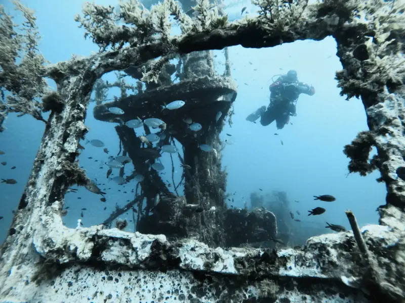 Scuba Diving In Malta