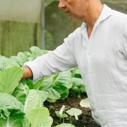 Image 1 - Aulis Phuket